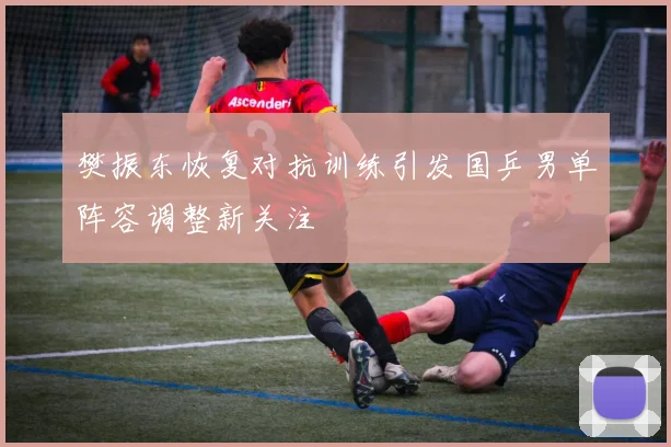 樊振东恢复对抗训练引发国乒男单阵容调整新关注